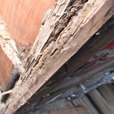 木材扉の腐食
