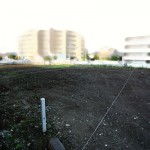 東村山市の空き家を解体した後の写真
