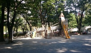 新宿中央公園の写真