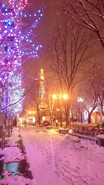 雪の札幌「大通り公園」