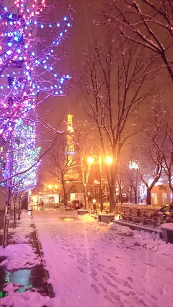 雪の札幌「大通り公園」