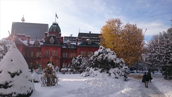 紅葉したイチョウと雪が一度に見れてしまいました