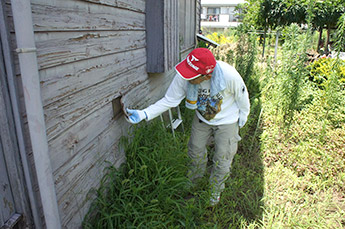 外壁、軒裏の確認