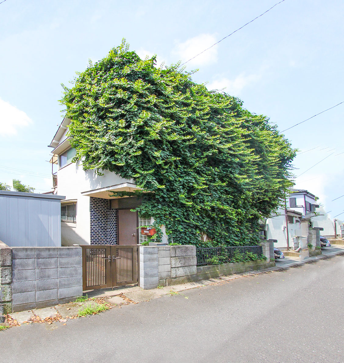 空き家の雑草や庭木