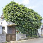 空き家の庭で「伸びきった雑草」が問題を引き起こす！？