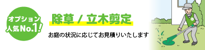 オプションお申込み人気No1! 除草/立木剪定 お庭の状況に応じてお見積りいたします