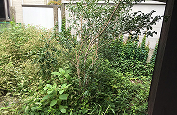 近隣に迷惑をかける前に！草木の剪定・除草サービス